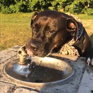 Meet your Posher, Matt